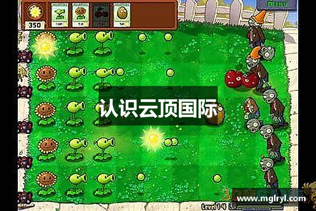 认识云顶国际